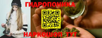 ГАЛЛЮЦИНОГЕННЫЕ ГРИБЫ Сланцы